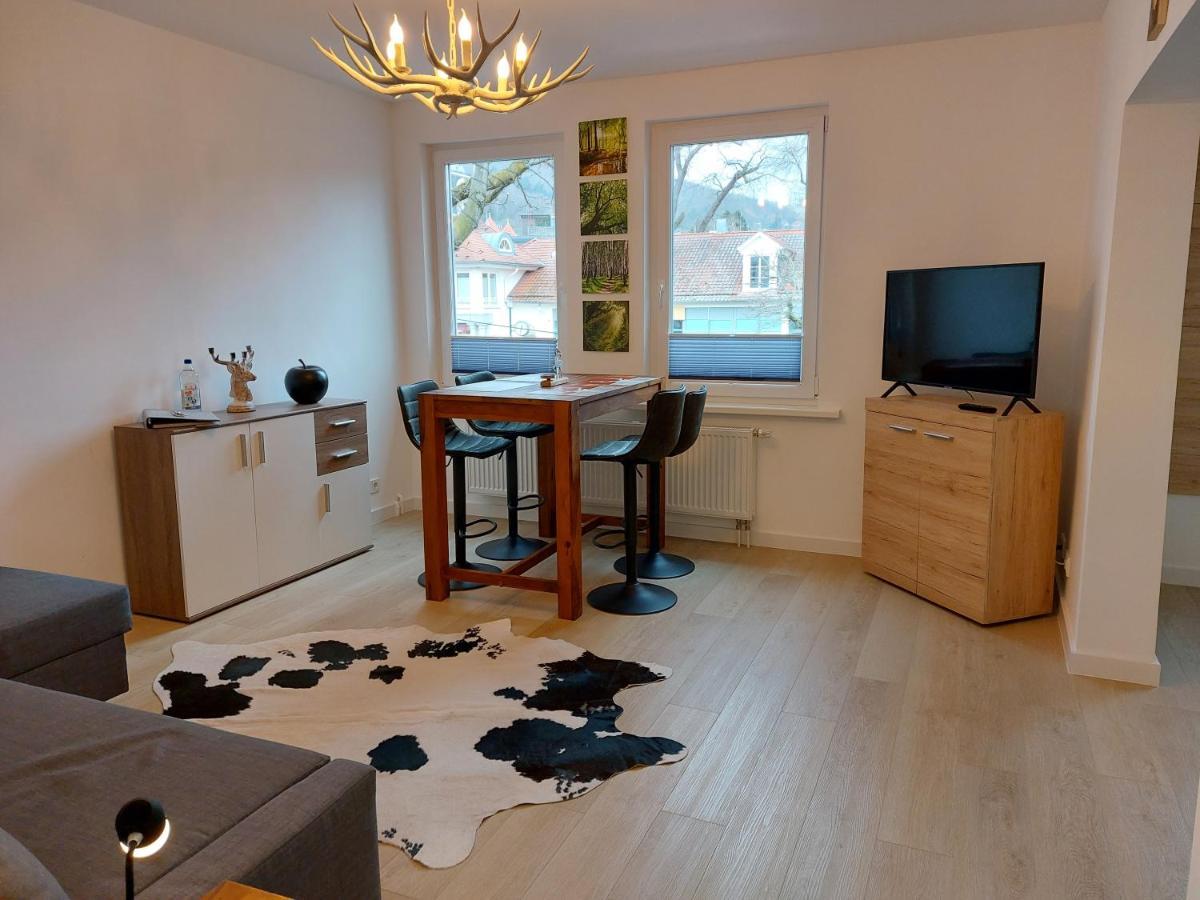 Ferienwohnung Am Jungbrunnen 2 巴特哈尔茨堡 外观 照片